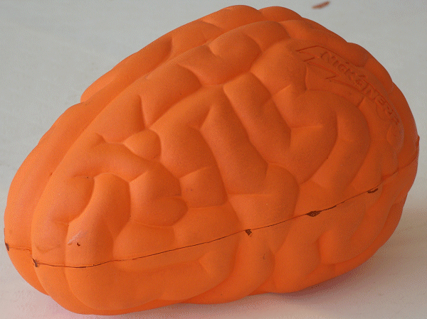 1995 Nerf Orange Brain Ball - Extremely Tough To Find #028